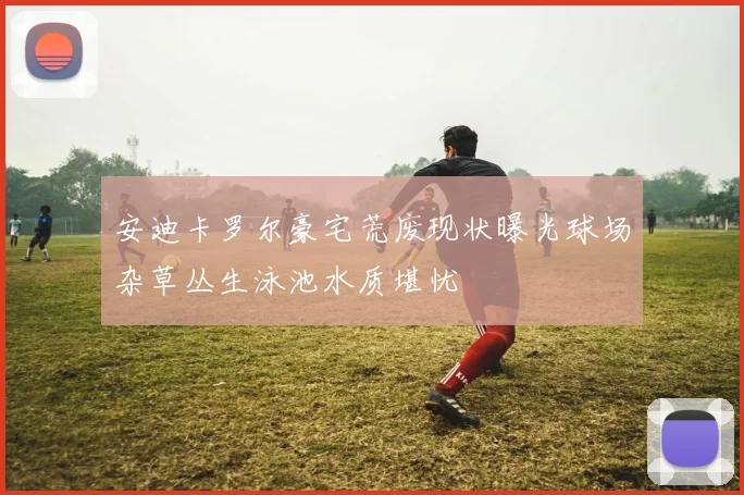 安迪卡罗尔豪宅荒废现状曝光球场杂草丛生泳池水质堪忧